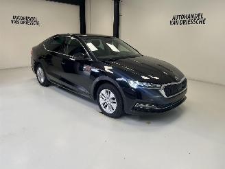 škoda osobní automobily Skoda Octavia AMBITION 2021/10