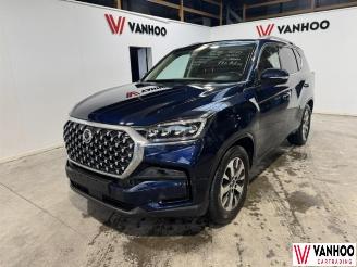 Avarii autoturisme Ssang yong Rexton  2021/6