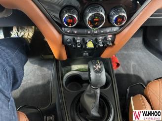 Mini Cooper  picture 20