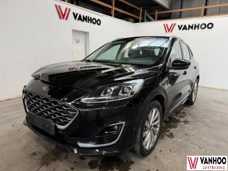 škoda osobní automobily Ford Kuga  2021/1