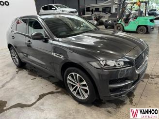 Jaguar F-Pace  picture 4