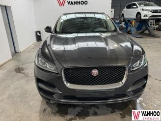Jaguar F-Pace  picture 3