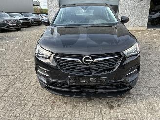 Opel Grandland OPEL GRANDLAND X 1.5D 2021 picture 4