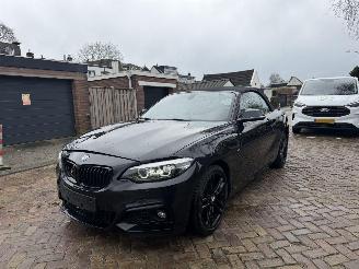 Avarii autoturisme BMW 2-serie 218i M PAKKET CABRIO 2018/1