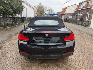 BMW 2-serie 218i M PAKKET CABRIO picture 13