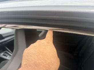 Volkswagen Golf 1.5 eTSI R Line PANO picture 14