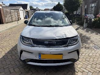 BYD Dolphin Comfort 60.4 kWh NAP picture 3