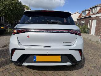BYD Dolphin Comfort 60.4 kWh NAP picture 11