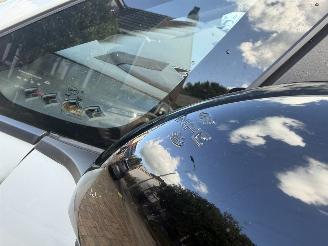 BYD Dolphin Comfort 60.4 kWh NAP picture 19