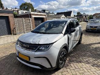 skadebil auto BYD Dolphin Comfort 60.4 kWh NAP 2024/1