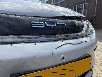 BYD Dolphin Comfort 60.4 kWh NAP picture 5