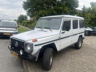 Coche accidentado Mercedes G-klasse 290 GD LANG GRIJSKENTEKEN 1997/6