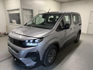 Peugeot Rifter  picture 4