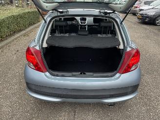 Peugeot 207 1.6 5drs picture 13