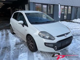 Fiat Punto Punto Evo (199), Hatchback, 2009 / 2012 1.3 JTD Multijet 85 16V Euro 5 picture 3