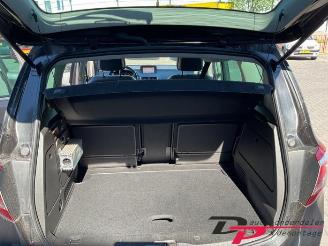 Opel Meriva Meriva (B), MPV, 2010 / 2017 1.6 CDTI 16V picture 20