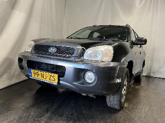 Avarii autoturisme Hyundai Santa Fe Santa Fe I SUV 2.0 16V 4x2 (G4JP) [99kW]  (08-2001/02-2006) 2003/10